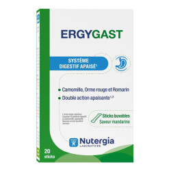 Nutergia Ergygast 20 sticks buvables