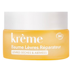 Krème Baume à lèvres réparateur bio 10gr