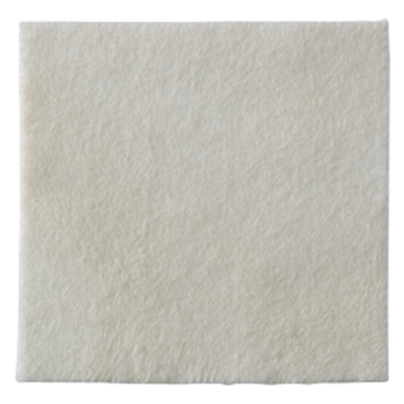 Coloplast Biatain Alginate 10 x 10cm 10 pansements Coloplast Biatain Alginate 10 x 10cm 10 pansements