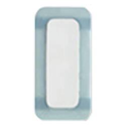 Coloplast Biatain Silicone 10 x 20cm 10 pansements