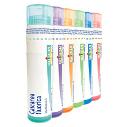 Boiron Calcarea Fluorica 6CH tube
