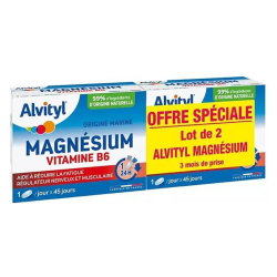 Alvityl Magnésium Vitamine B6 lot de 2 x 45 comprimés