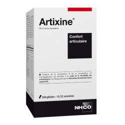 Nhco Artixine confort articulaire 168 gélules