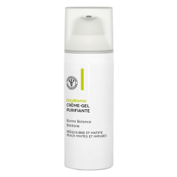 Pharmaciens Préparateurs DayBioma Crème-Gel purifiante 50ml
